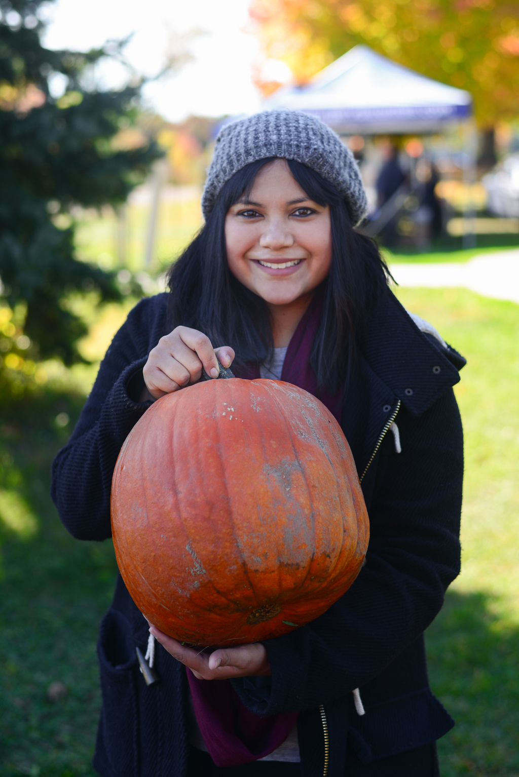 Ajax Pumpkinville