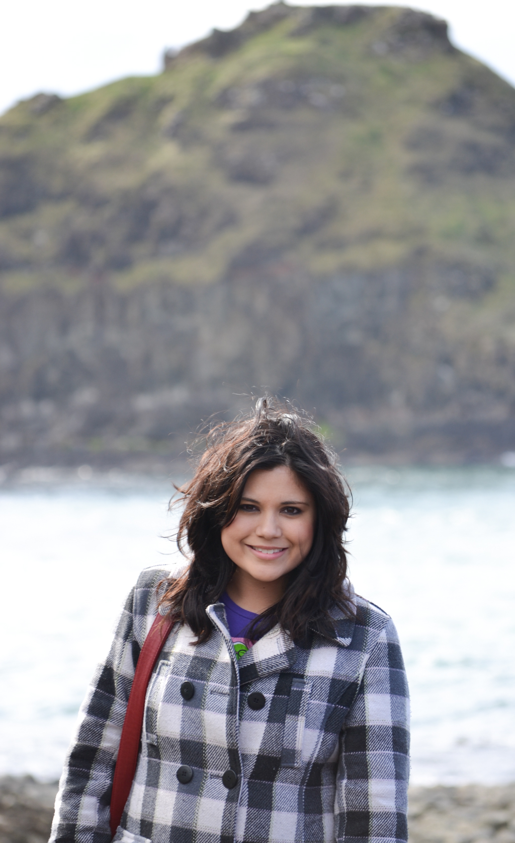 giant's causeway