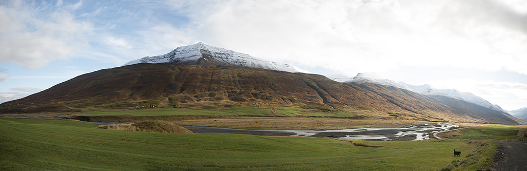 Dalvik iceland