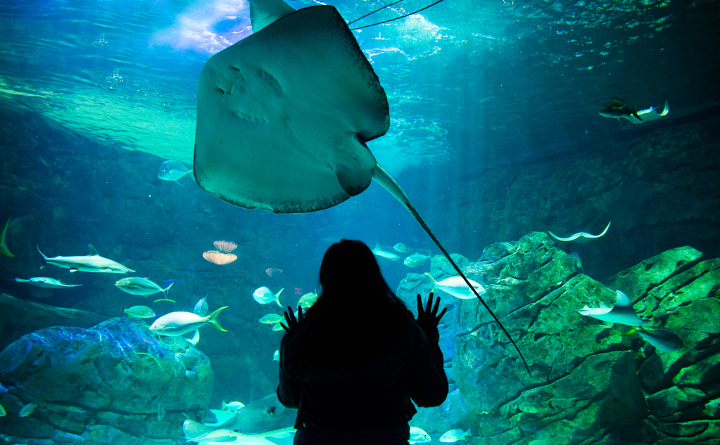 Ripley's Aquarium of Canada