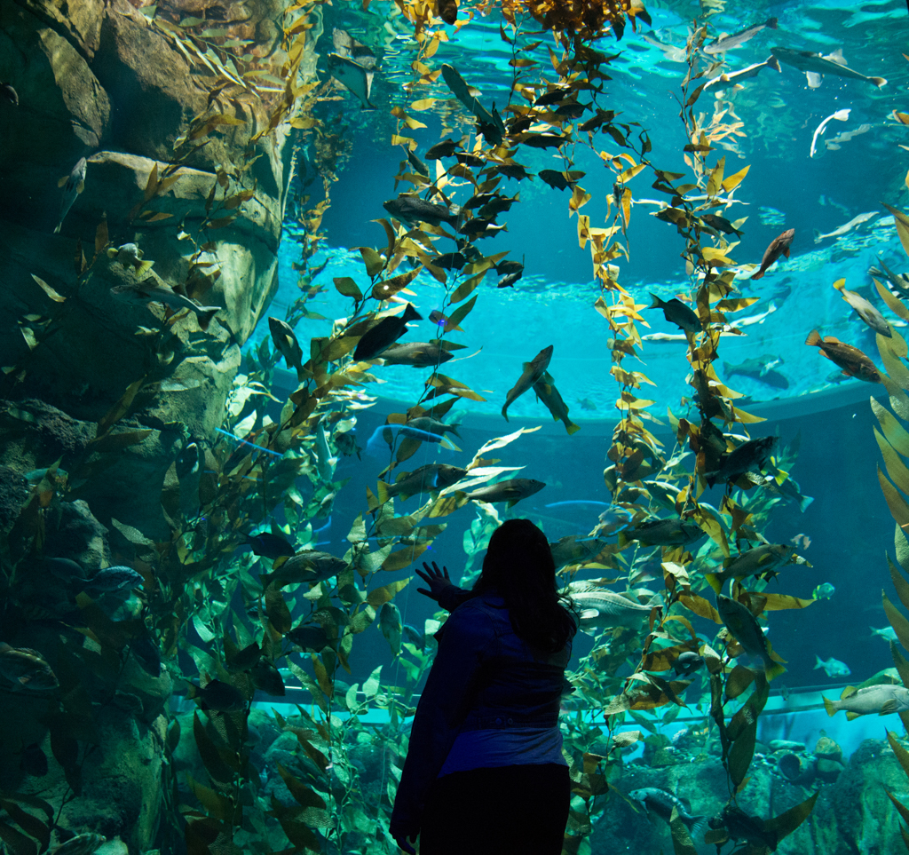 Ripley's Aquarium of Canada