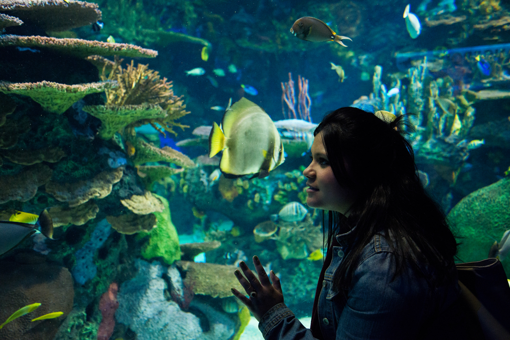 Ripley's Aquarium of Canada