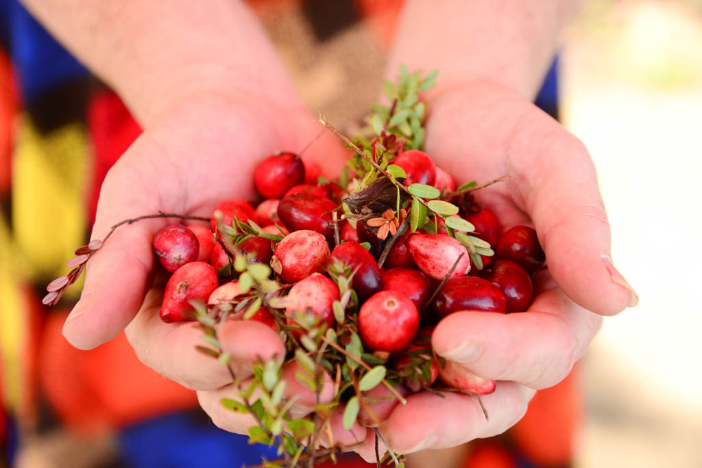 Johnston's Cranberry Marsh & Muskoka Lakes Winery