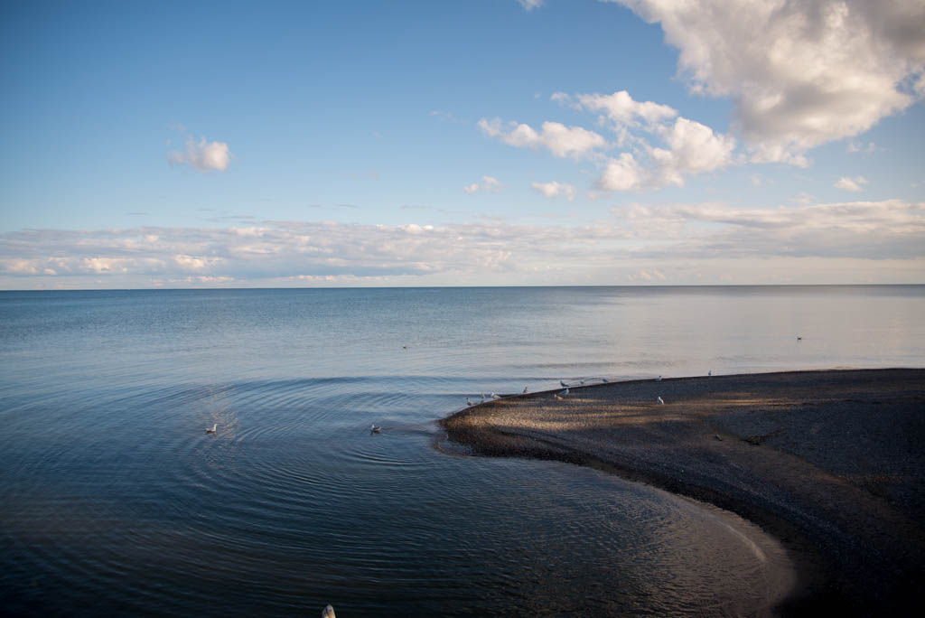 ajax rotary park 