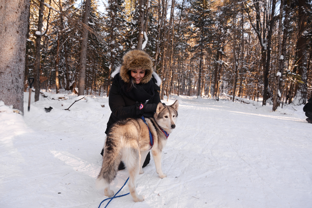 Winterdance Dog Sled Tours