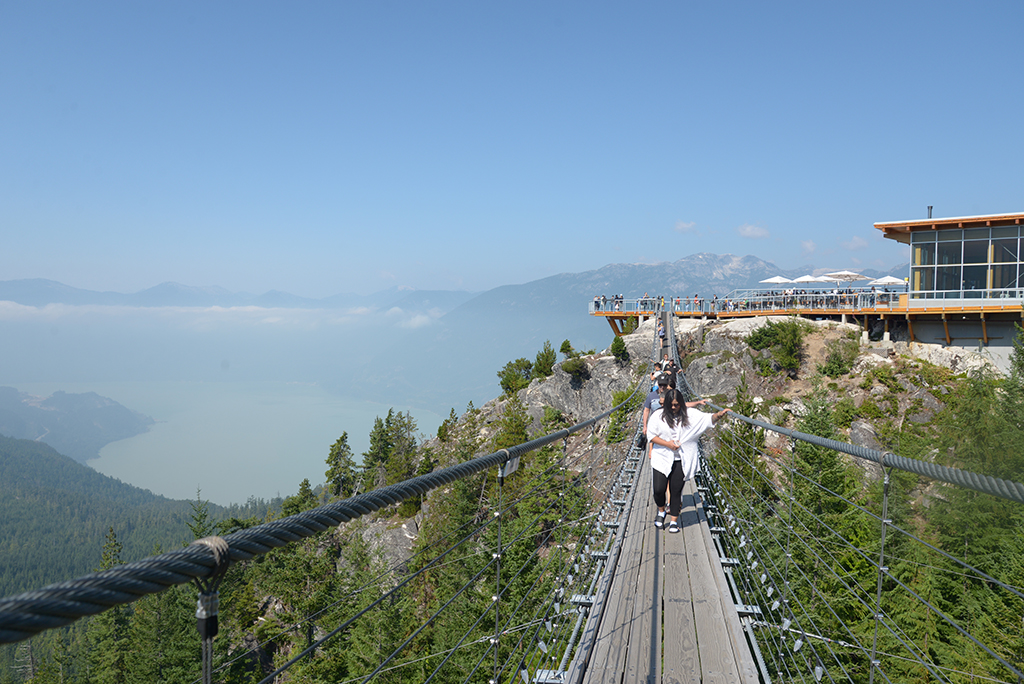 Sky Pilot Suspension Bridge