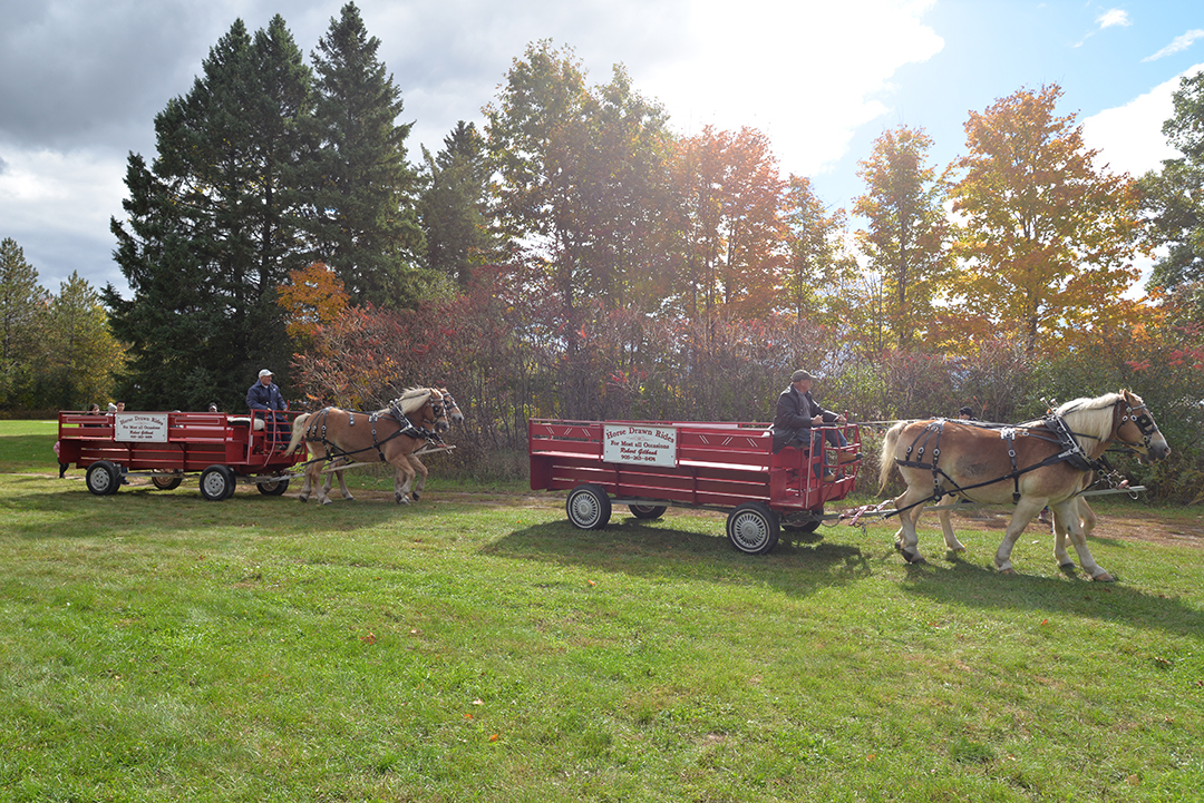 Pumpkinville 2018