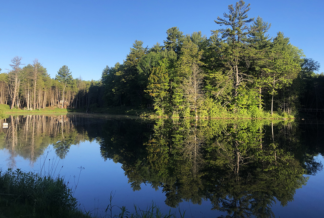 Pond at Whispering Springs Grafton Ontario 