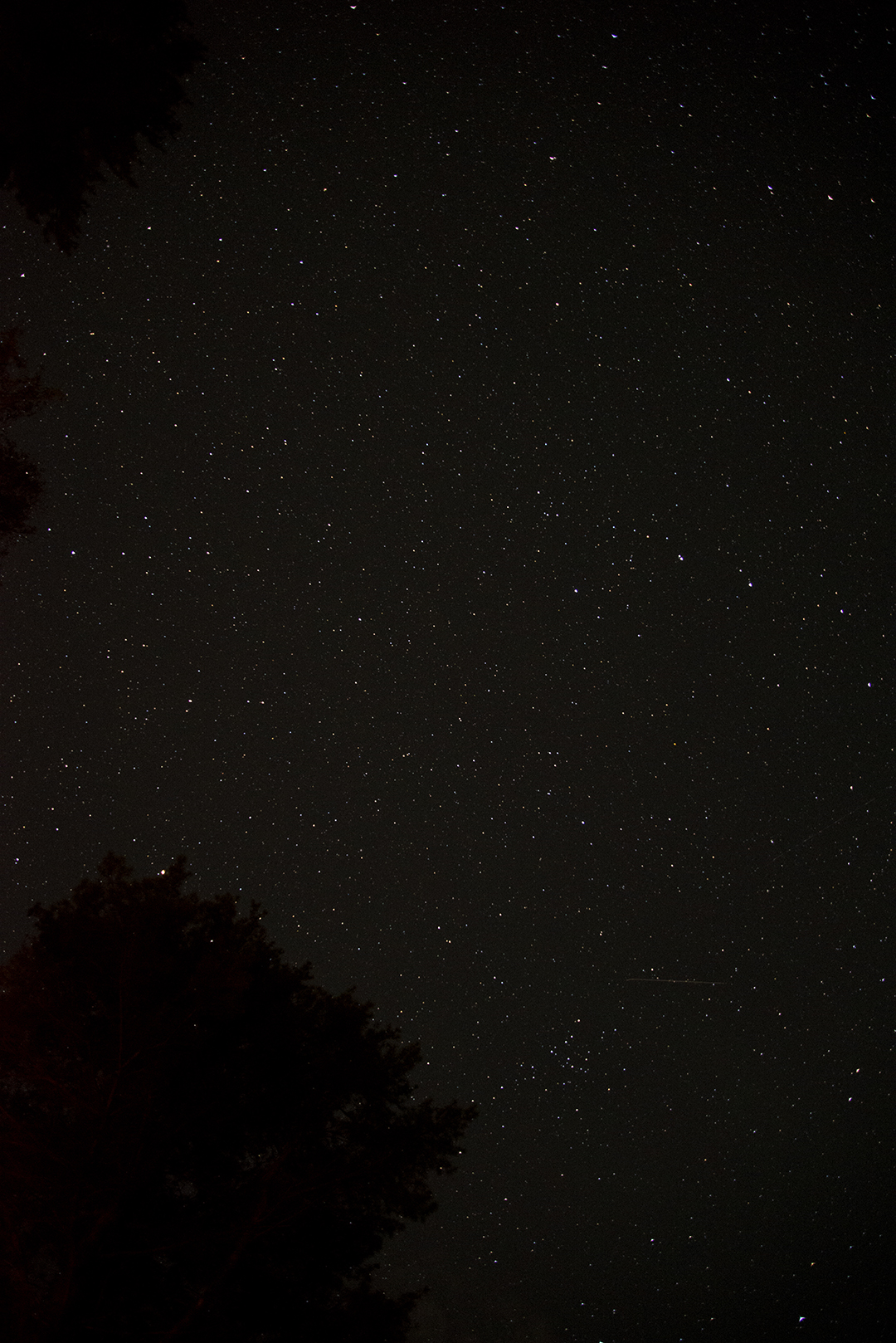 The night sky at Whispering Springs, Grafton Ontario 